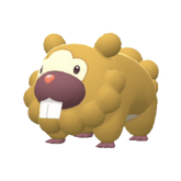 Buy Bidoof in Brilliant Diamond & Shining Pearl